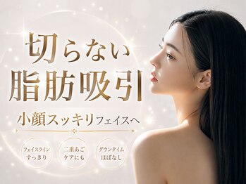 ビューティーサロン リリー(Lily)の写真/【Al搭載の最新脂肪冷却マシン】脂肪冷却ipocool導入/小顔(二重アゴ)冷却も◎/美容クリニック提携サロン