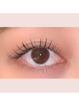 レプス(Lepus)/セーブルラッシュ120本