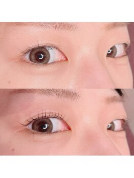 シピリカ(Shiprica.)/