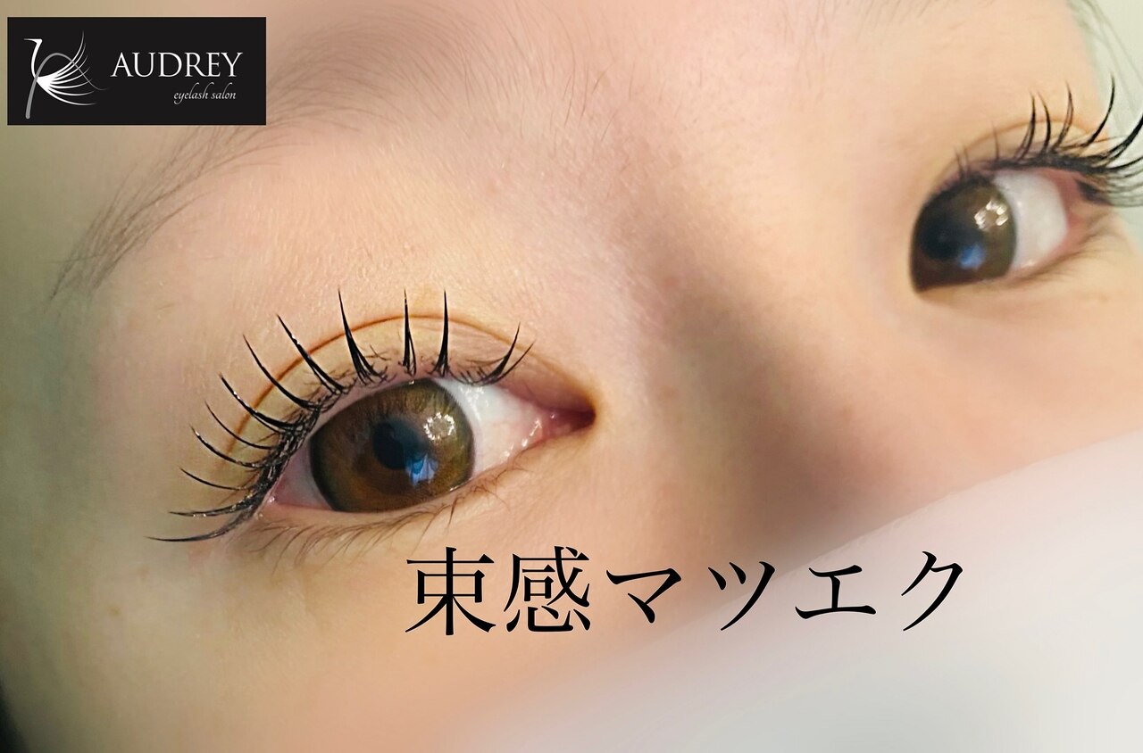 AUDREY マツエク/まつ毛エクステ  6箱まとめ売り AUDREY マツエク/まつ毛エクステ 6箱まとめ売り