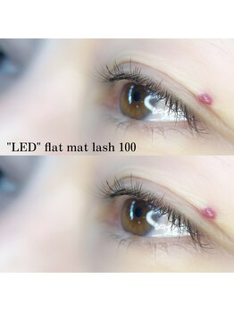 フォーヴリュンヌ(FOVLUNE)/フラットマットラッシュ