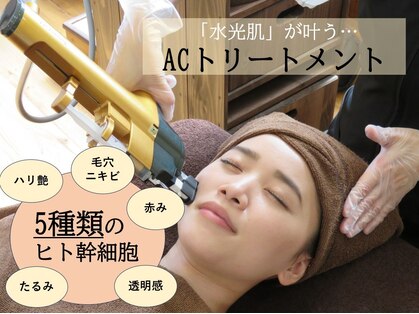 ジュブリエ(Jebrille)の写真