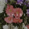 Lumire【ルミーレ】浦安店(まつげパーマ/パリジェンヌ/マツエク/アイブロウWAX)のお店ロゴ