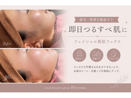 プレローマ(Pleroma)の写真