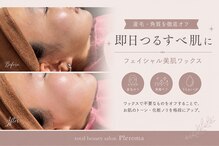 プレローマ(Pleroma)