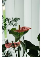 ポノ 横浜桜木町(Pono)&nbsp;スタッフ 募集中