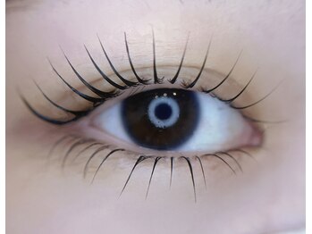 メゾンド シャルム カラット(maison de charme carat)/上下まつ毛パーマ