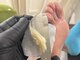 タソニ(DASONI)の写真/【角質ケアの最前線★韓国式角質除去】ガサガサかかと/痛いたこ/割れかかと/段差まで整えるDASONIの技術