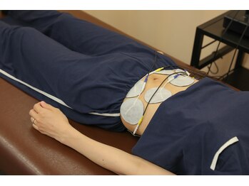 ひつじの整体/EMSプログラムの機械です