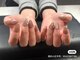 パンダ(Panda)の写真