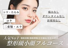 ナースリフェイス(Nurse Reface)