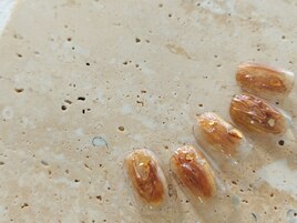 トレンド定額（ゴールド）