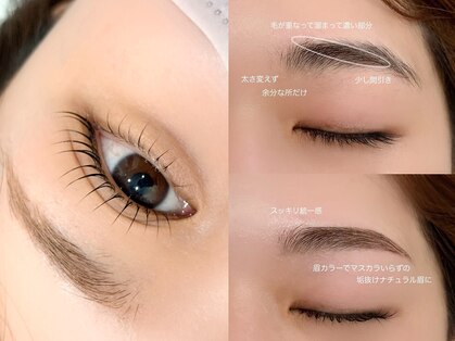 コダサンマルハチ(koda 308)の写真