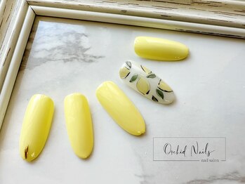 オーキッドネイルズ(Orchid Nails)/シンプル定額デザイン★¥7700
