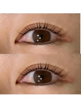 ウタタネ(utatane)/メーテル