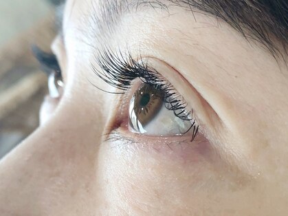 ニコ(Nico)の写真