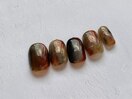 tortoiseshell(Igarashi)