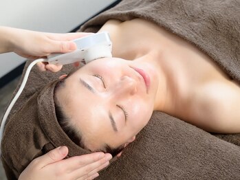 アリエス/エレクトロポレーション