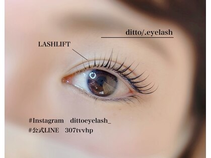 ディトアイラッシュ(ditto/.eyelash)の写真