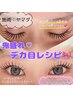 【当日限定】上品な仕上がり/フラットマットラッシュ　140本