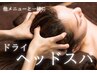 【＋メニュー限定】ドライヘッドスパ20分コース※単体でのご予約不可