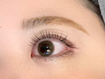 トムオウル(TOMOWL)/ラッシュリフト(上)