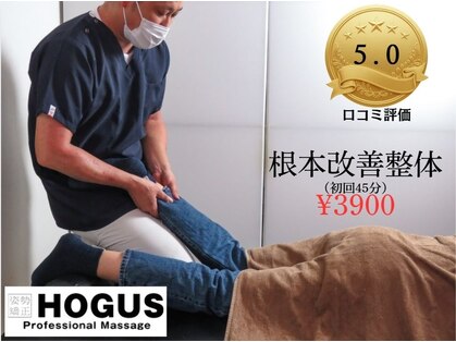 ホグス(HOGUS)の写真