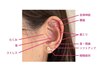耳マッサージ付き耳ツボジュエリー8粒　肩こり・リフトUP・美容ケア　2,900円