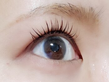 アイラッシュサロン ラコタ 銀座一丁目店(eyelash salon RACOTA)/カラーエクステ