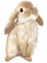 てもみサロンえん&nbsp;岩田 ともみ