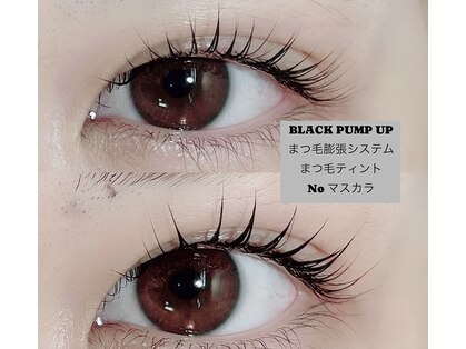 リリー オブ ザ バレー(lily of the valley)の写真