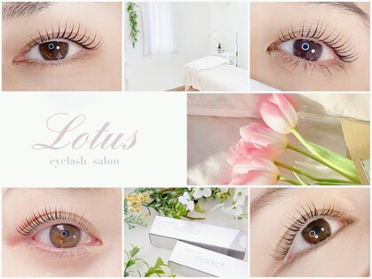 ロータス(Lotus)の写真