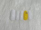 定額Aコース