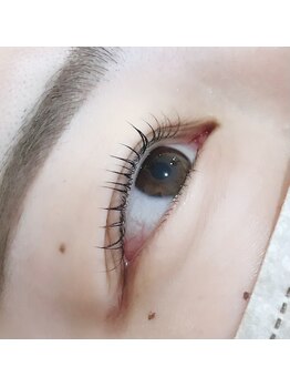 ロータス(Lotus)/