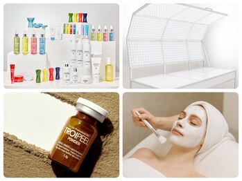 ルピナス ロッポンギ(Rupinus ROPPONGI)