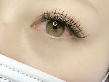 ベル(Belle)の写真/《デザインキープラッシュ120本(60束)¥7500》エリア希少*従来のエクステの3倍のキープ力でモチが格段にUP!
