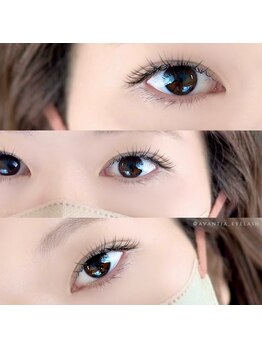 アヴァンティア(AVANTIA)/フラットラッシュ100本