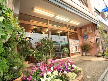 マイティップカワタ(Mytipかわた)/いつも花壇はお花でいっぱいです