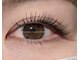 ラッシュワン 四条店(Lash One)の写真