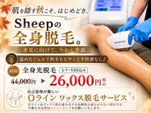 シープ(Sheep)