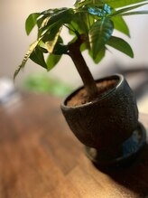 トータルボディケア整体 長居駅前店/