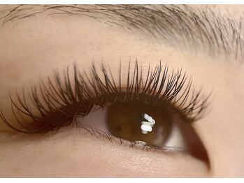 エニーラッシュ(ANYLASH)/ダブルフラットラッシュ130束
