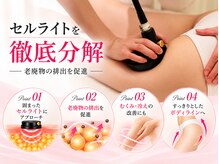 「BELTA式 短期集中ダイエット」の結果が出るポイント