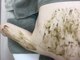 スリジエ ボーテ(cerisierBEAUTE)の写真/ブライダル人気◆引締め/肌質改善*VIO/全身◎黒ずみ/ニキビケア/ザラつきに【BODYハーブピーリング¥29800】