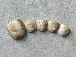 春フットデザイン☆