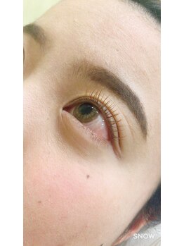 シルフ 宝塚店(Sylph)/ナチュラル