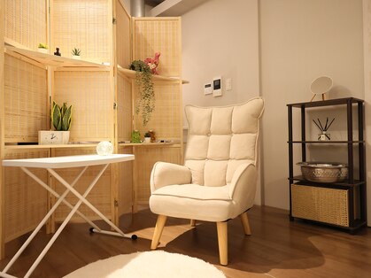 木漏れびの写真