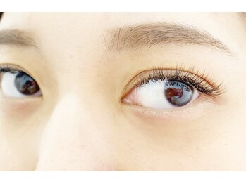 テイラー(Taylor)/120本　SATO