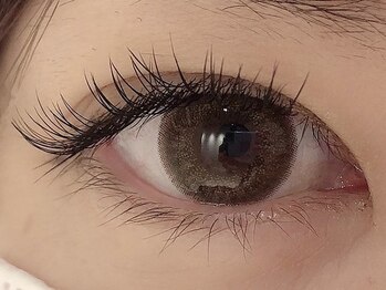 カラン 焼津店(CALIN)/フラットラッシュ120本