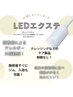 【new!!】LEDエクステ　バインドフラット60束　￥8910→7810